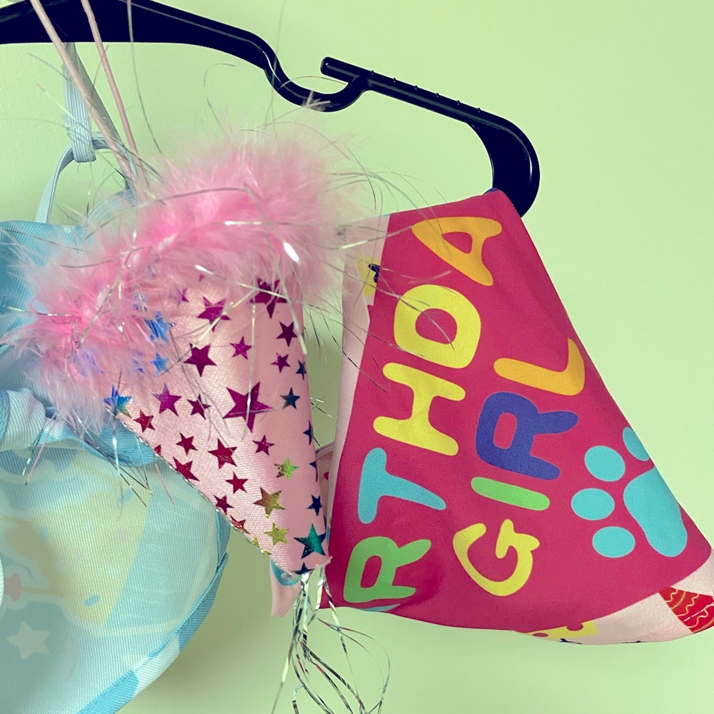 Pink Pet Birthday girl Hat & bandanna set